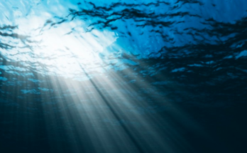 Глубокий поиск от Deepseek: универсальный цифровой интеллект-помощник