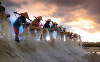 Российские технологии для азиатского тигра: VAS Experts выходит на рынок Вьетнама