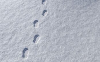 Цифровой след: как операторы связи учатся отличать дрон от человека через блокировку SIM