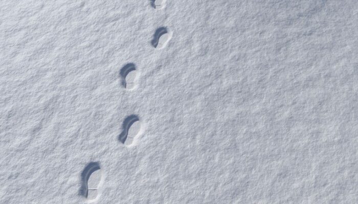 Цифровой след: как операторы связи учатся отличать дрон от человека через блокировку SIM