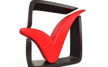 REG.RU запускает идентификацию через Госуслуги