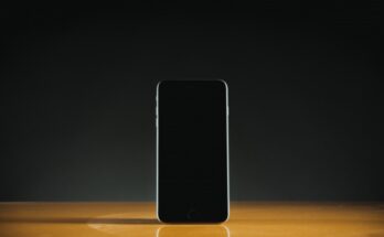 В Госуслуги на смартфоне снова можно зайти без подтверждения в MAX