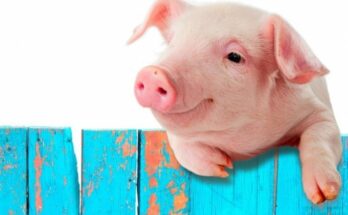 Искусственный интеллект и брешь в информационной безопасности